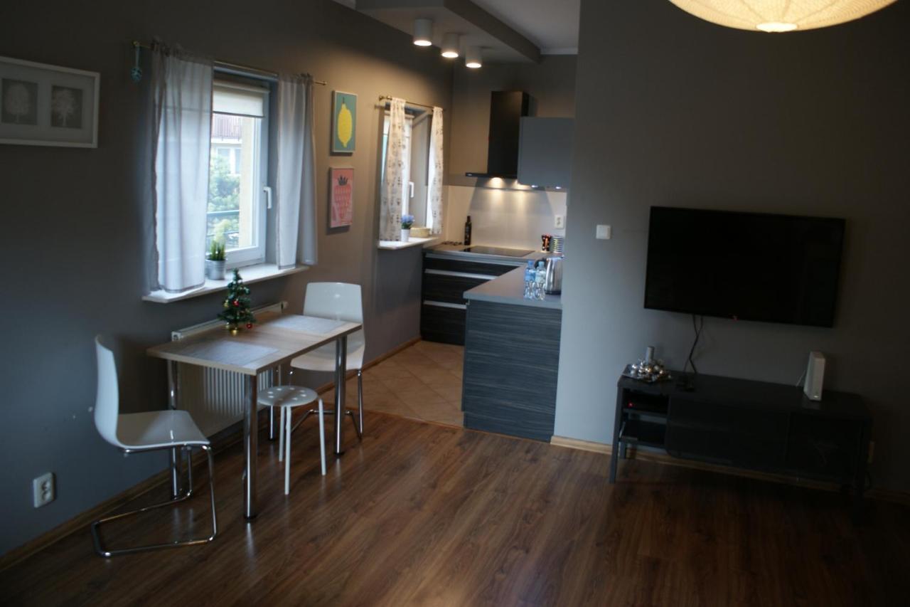 Friendly Apartments - Краків Екстер'єр фото
